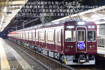 byトリ・ムネニク