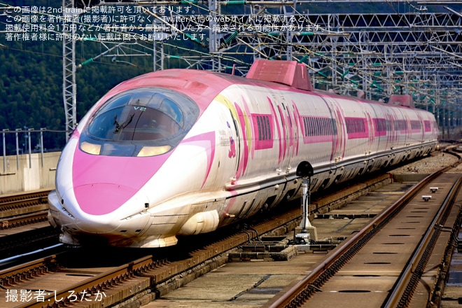 【JR西】「2026年5月に運行が終了する500系『ハローキティ新幹線』に往復乗車 ハローキティと行く博多日帰りの旅」ツアーを催（1枚目）