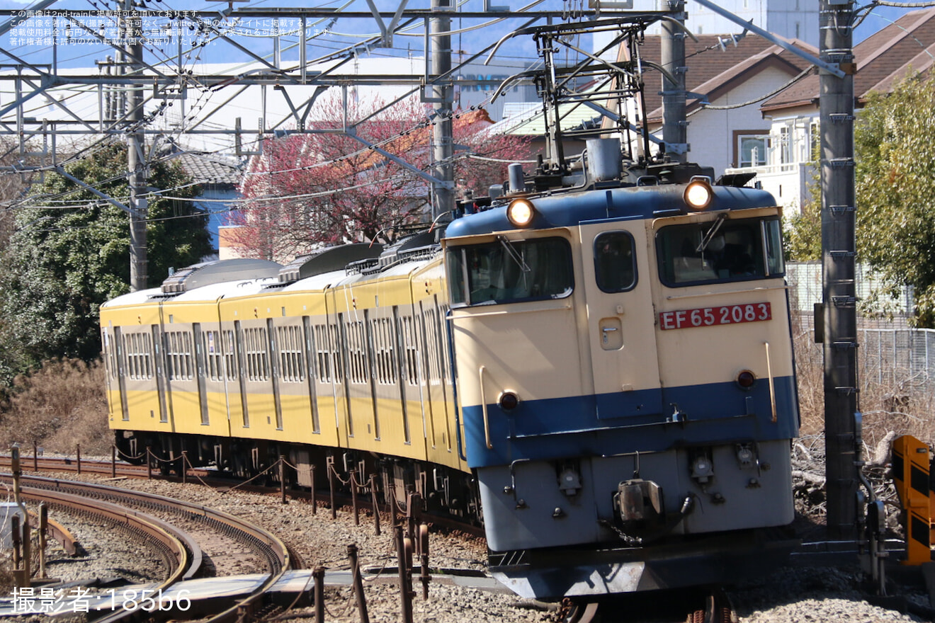 【西武】新101系1249F(ツートンカラー) 多摩川線車両交換甲種輸送の拡大写真