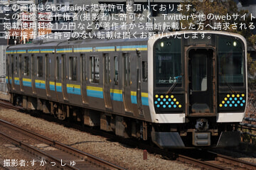 byす か っ し ゅ