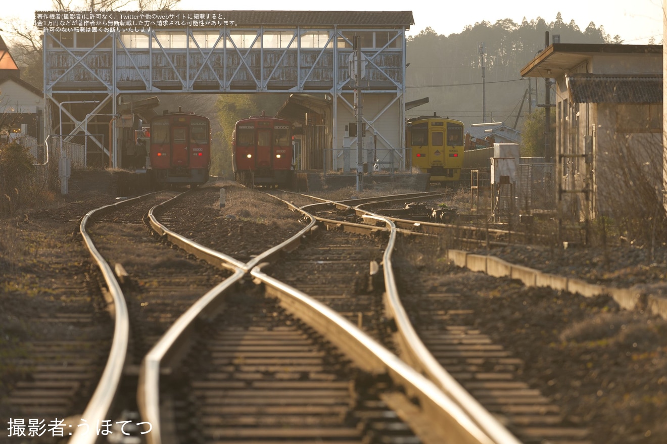 【JR九】キハ200系キハ200-7+キハ200-5007「なのはな」塗色が豊肥本線経由で熊本へ回送の拡大写真