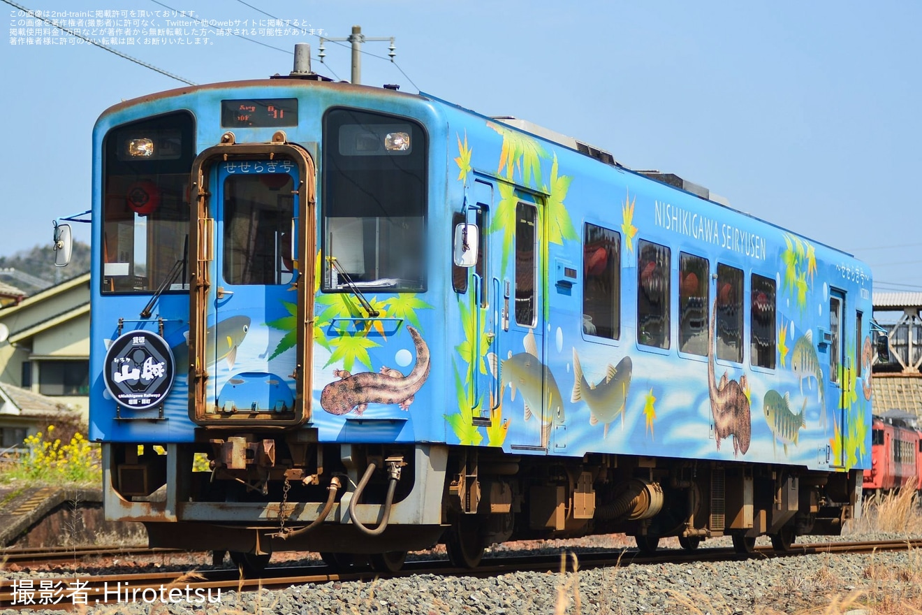 【錦川】「山賊列車」が運転 いろり山賊社長特製ヘッドマークを掲出の拡大写真