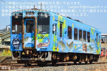 【錦川】「山賊列車」が運転 いろり山賊社長特製ヘッドマークを掲出