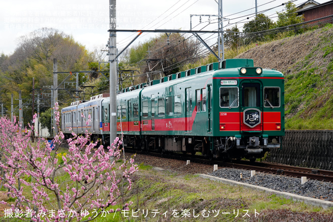 【南海】「天空」併結の一般車両にヘッドマークを掲出して運行を不明で撮影した写真