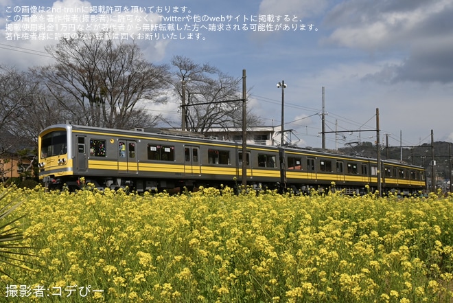 【伊豆箱】5000系5504編成「イエロー・シャイニング・トレイン」大雄山線ではなく駿豆線で試運転を不明で撮影した写真