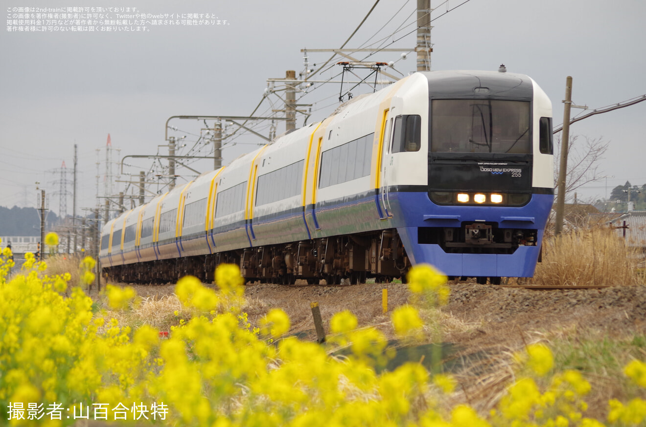 【JR東】255系マリBe-03編成使用「しおさい51号」運転の拡大写真