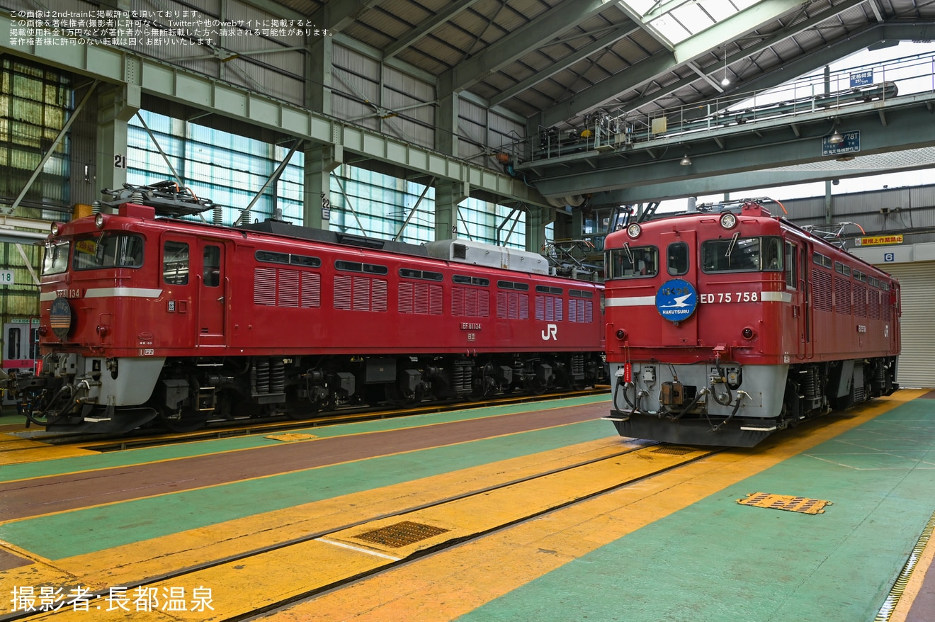 【JR東】電気機関車見学会「続・往年の電機、集結の刻」開催の拡大写真