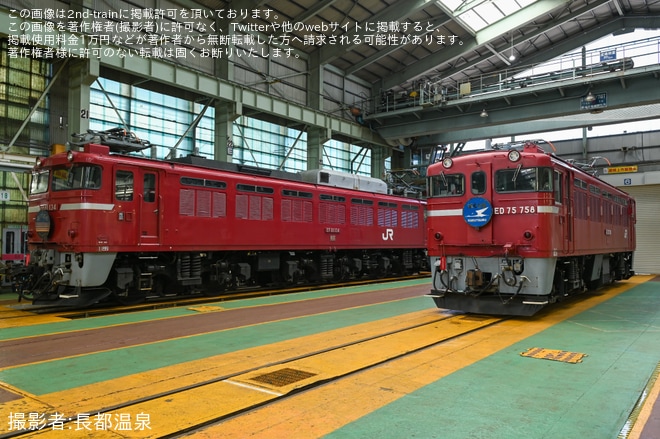 【JR東】電気機関車見学会「続・往年の電機、集結の刻」開催を秋田総合車両センターで撮影した写真