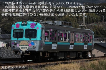 【岳南】岳南電車7001号に芝桜ラッピング 「桜電車」運行開始