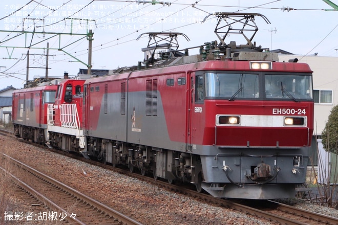 【JR貨】新潟貨物ターミナルからの配8788レがEH500-24+DD200-21+EH500-69の編成で運転を不明で撮影した写真