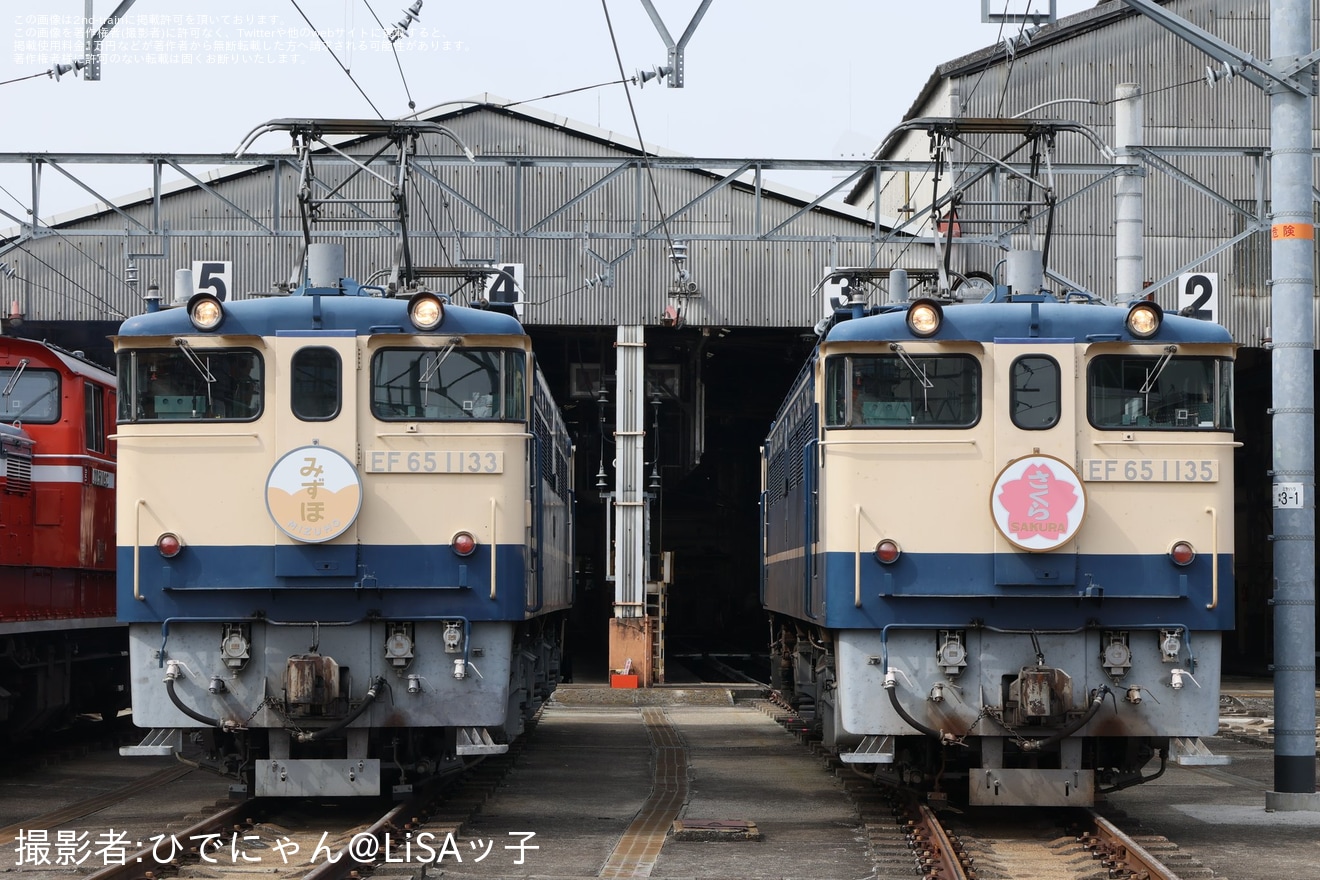 【JR西】「国鉄型機関車展示会 in 網干総合車両所 宮原支所」が開催の拡大写真