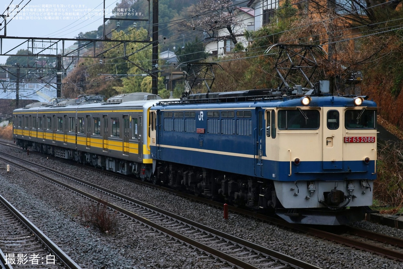 【伊豆箱】5000系5504編成「イエロー・シャイニング・トレイン」大場工場出場甲種輸送の拡大写真