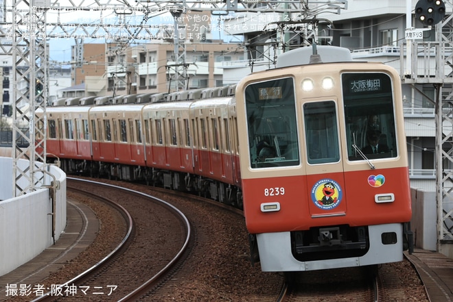 【阪神】「ELMO’s HAPPY TRAIN(エルモ ハッピートレイン)」運行開始を不明で撮影した写真