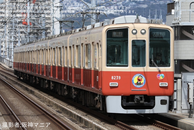 【阪神】「ELMO’s HAPPY TRAIN(エルモ ハッピートレイン)」運行開始を不明で撮影した写真