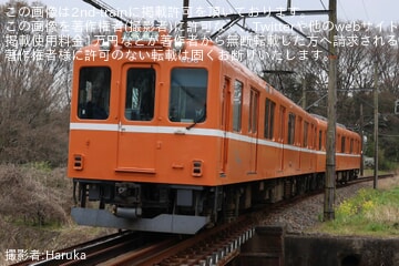 【養老】600系D06「ラビットカー」復刻塗装車が試運転