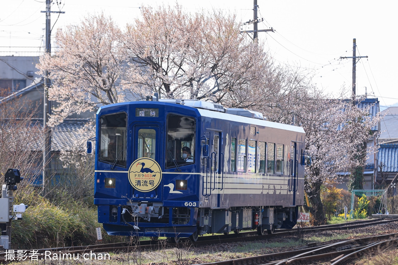 【長良川】ナガラ600形603「清流号」運行開始の拡大写真