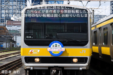 by海豹
