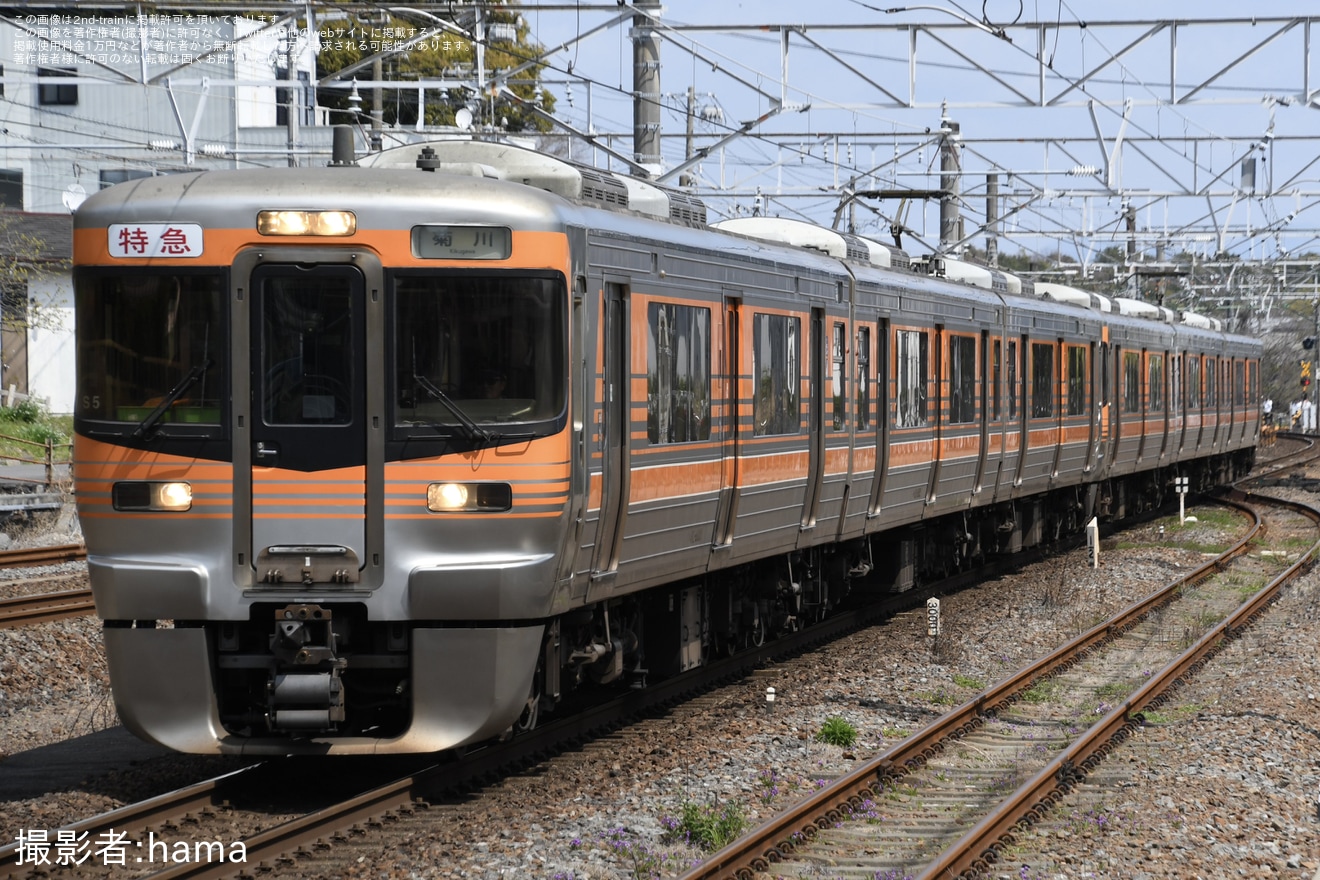 【JR海】313系が特急表示する「特別急行「きくがわ号」運行の拡大写真