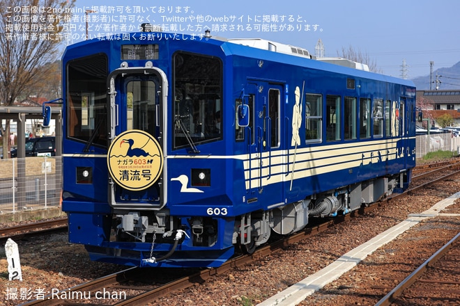 【養老】ナガラ600形603「清流号」運行開始（1枚目）