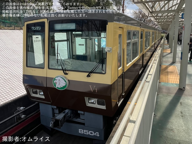 【西武】8500系第一編成、定期運行最終日 - 西武球場前駅にて撮影