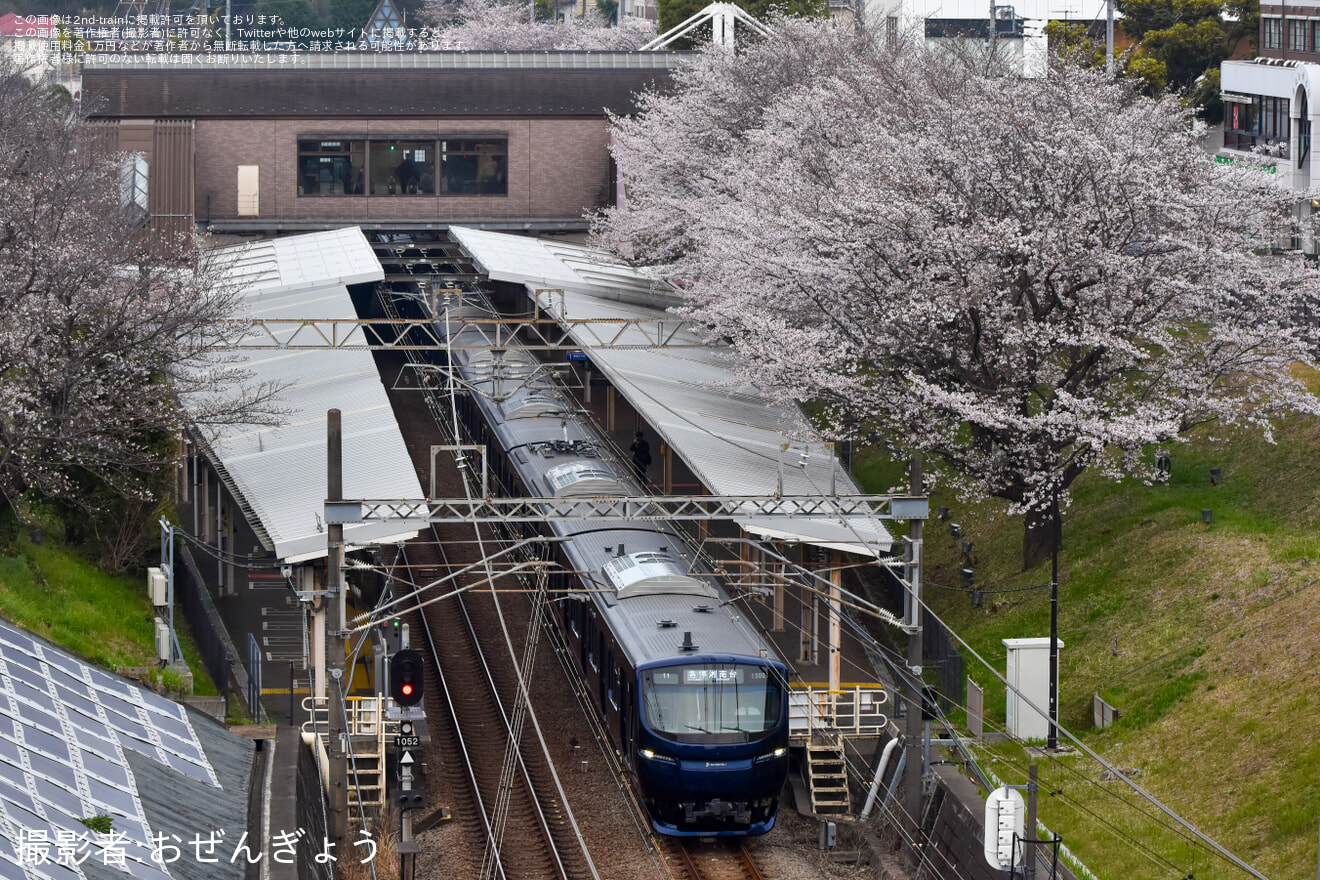 【相鉄】新型車両13000系13101×8(13101F) 営業運転開始の拡大写真