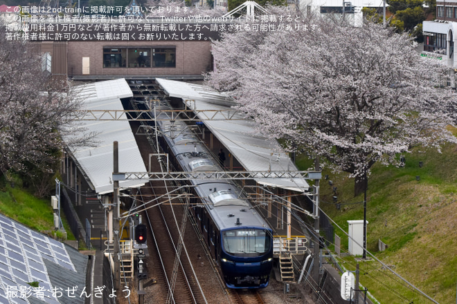 【相鉄】新型車両13000系13101×8(13101F) 営業運転開始を弥生台～いずみ野間で撮影した写真