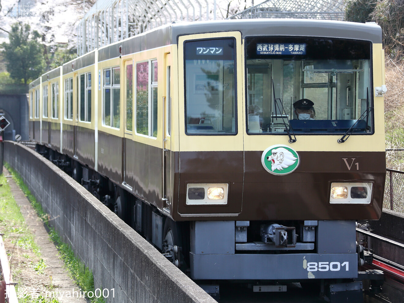 【西武】8500系第一編成、定期運行最終日の拡大写真