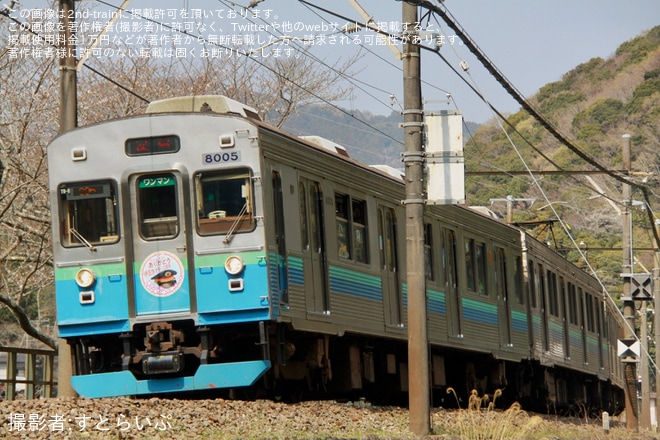 【伊豆急】「伊豆急8000系で行く『オモシロ駅長号の旅』」ツアーが催行 - 稲梓〜蓮台寺間にて撮影
