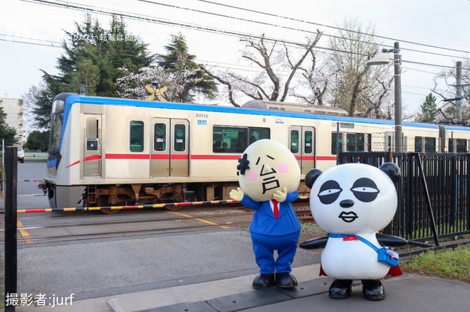 【京成】松戸駐屯地一般開放に京成パンダと松戸さんが登場（2枚目）