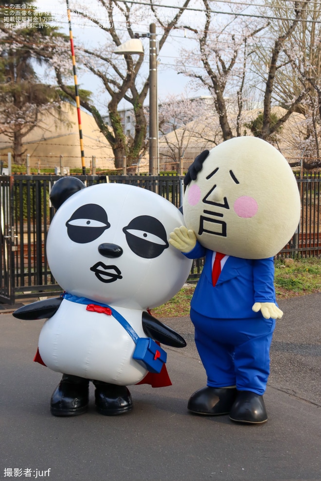 【京成】松戸駐屯地一般開放に京成パンダと松戸さんが登場を不明で撮影した写真