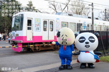 【京成】松戸駐屯地一般開放に京成パンダと松戸さんが登場