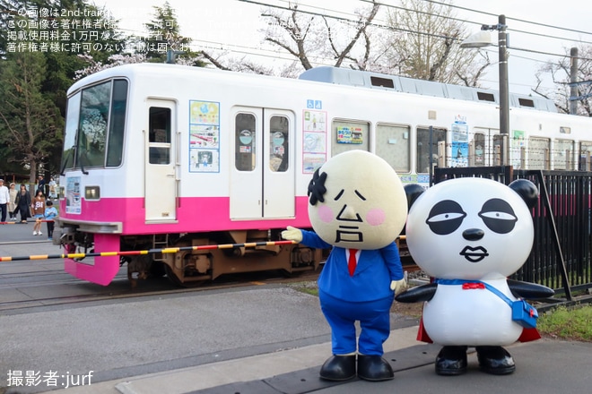 【京成】松戸駐屯地一般開放に京成パンダと松戸さんが登場（1枚目）