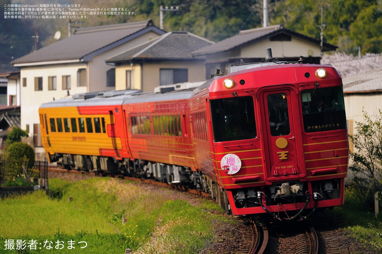 【JR四】「伊予灘ものがたり 櫻編」運行(2026年3月)の拡大写真