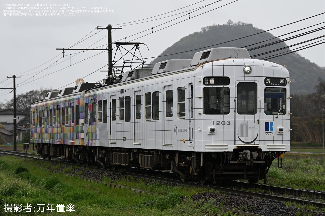 【ことでん】琴平線用ラッピング車両「ヘラルボニーラッピング電車」が長尾線を特別運行の拡大写真