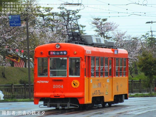 【伊予鉄】2004号機「金曜ロードショーとジブリ展」のラッピング開始を道後温泉駅で撮影した写真