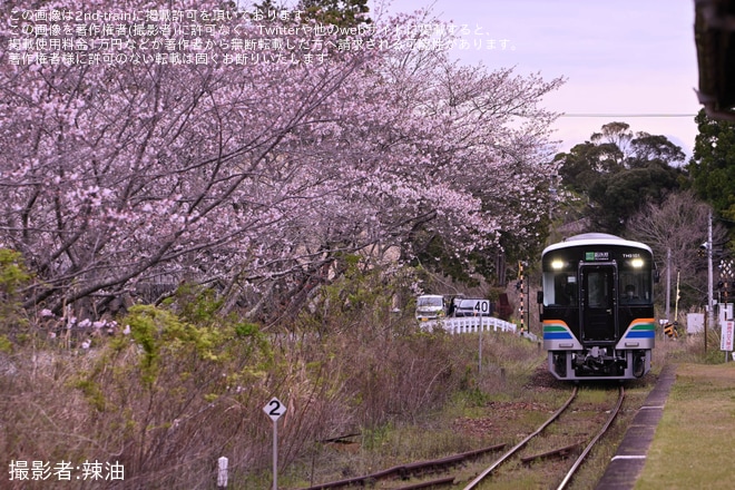 【浜名湖】新型車両「THG100形」定期営業運転開始を不明で撮影した写真