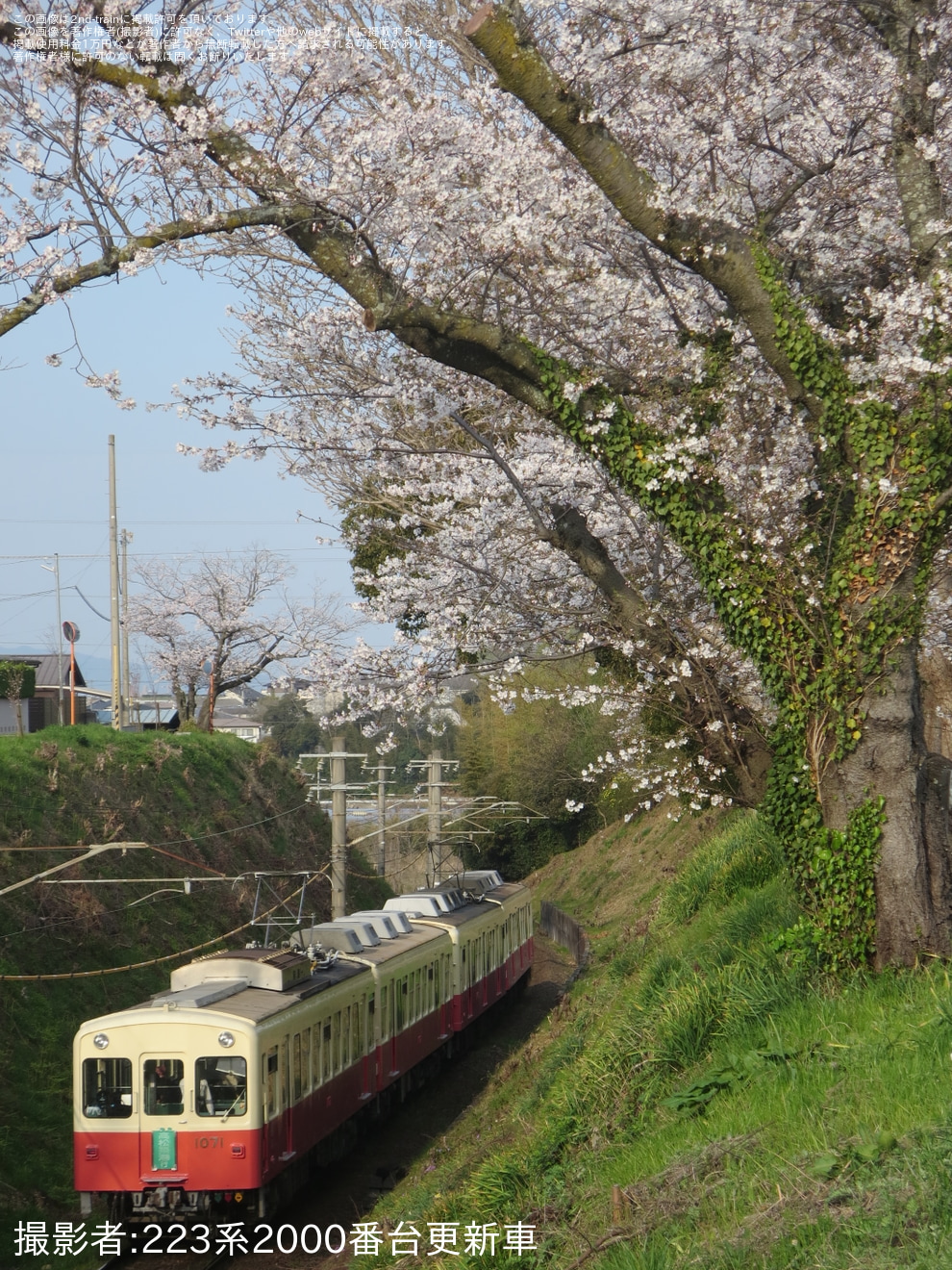 【ことでん】琴平線1070形「ファンタンゴレッド」4両編成特別運行の拡大写真