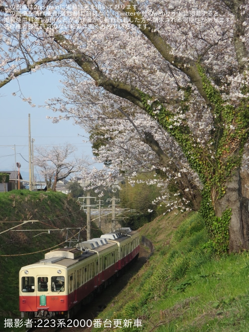 【ことでん】琴平線1070形「ファンタンゴレッド」4両編成特別運行 - 挿頭丘～岡本間にて撮影
