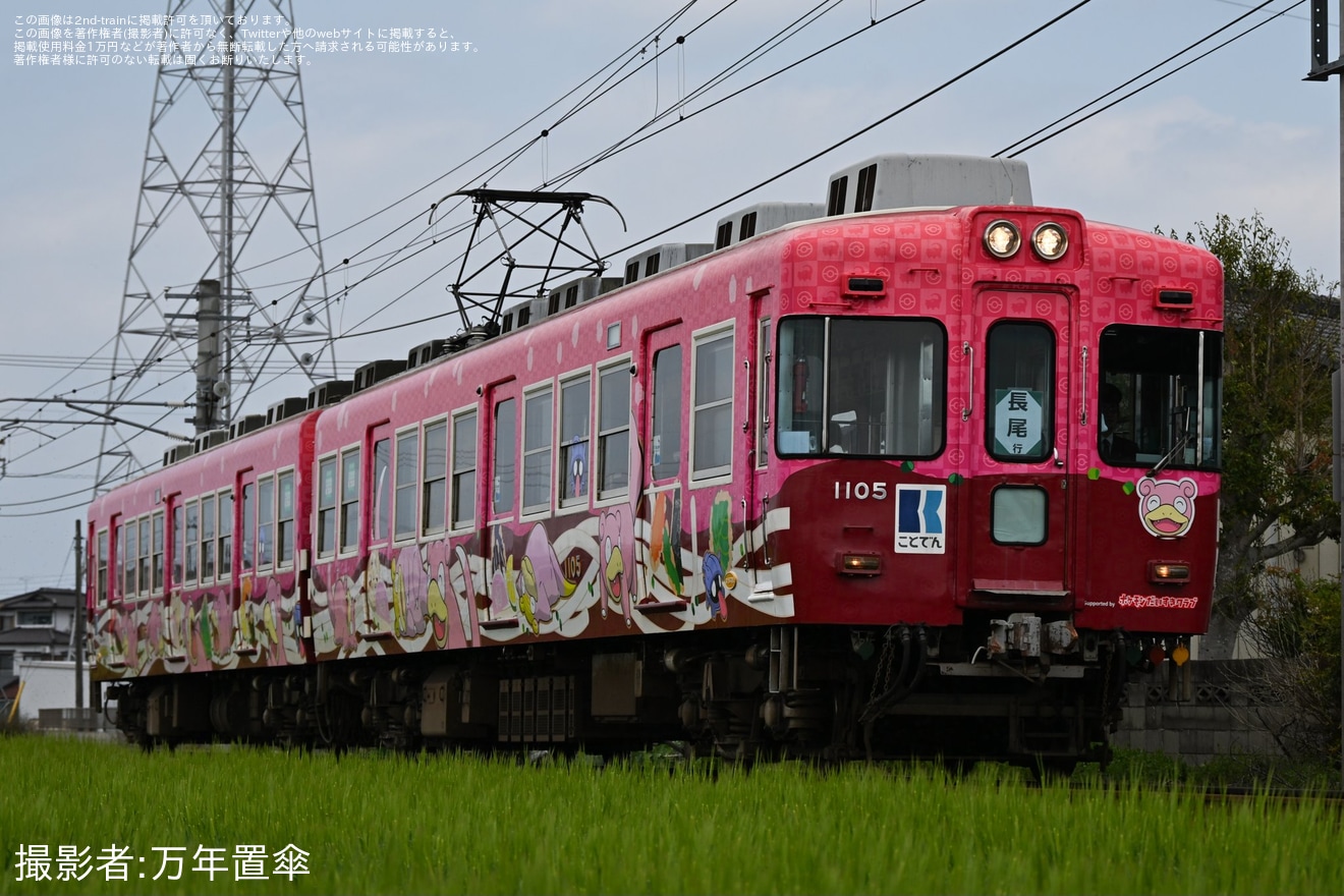 【ことでん】「うどん県×ヤドン号」が長尾線を特別運行(2026年)の拡大写真