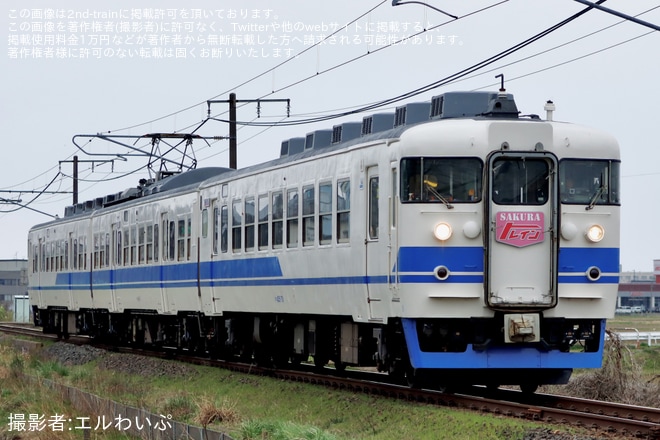 【トキ鉄】413・455系電車「TOKIトレイン」が運行再開・高田城址公園観桜会に合わせヘッドマークを掲出して運行（1枚目）