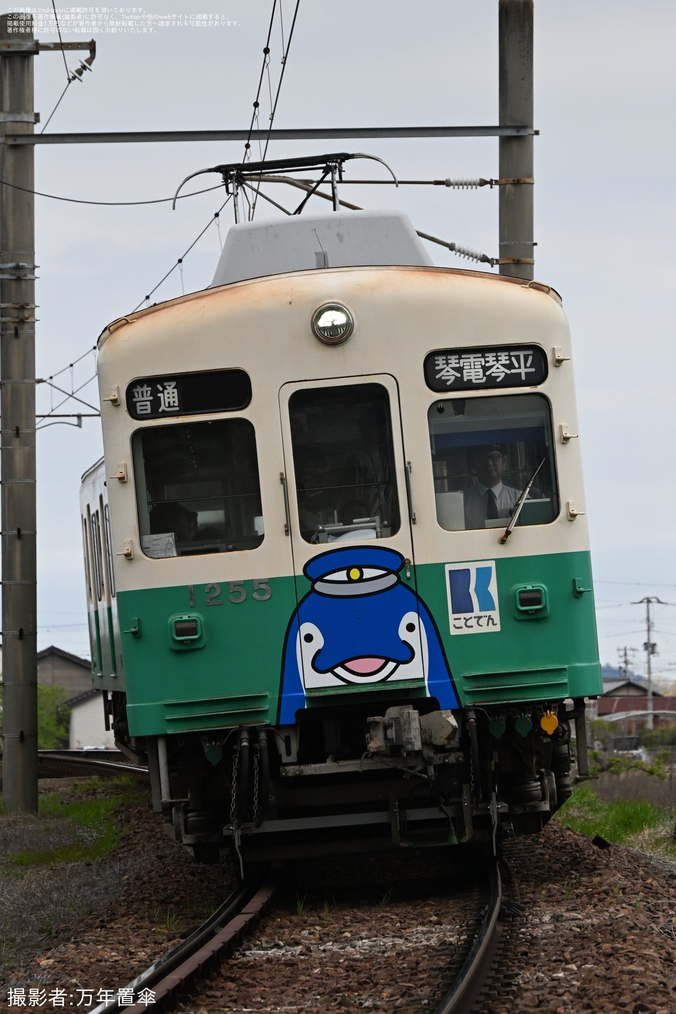 【ことでん】「復刻ことちゃんひやく号」琴平線で運行の拡大写真