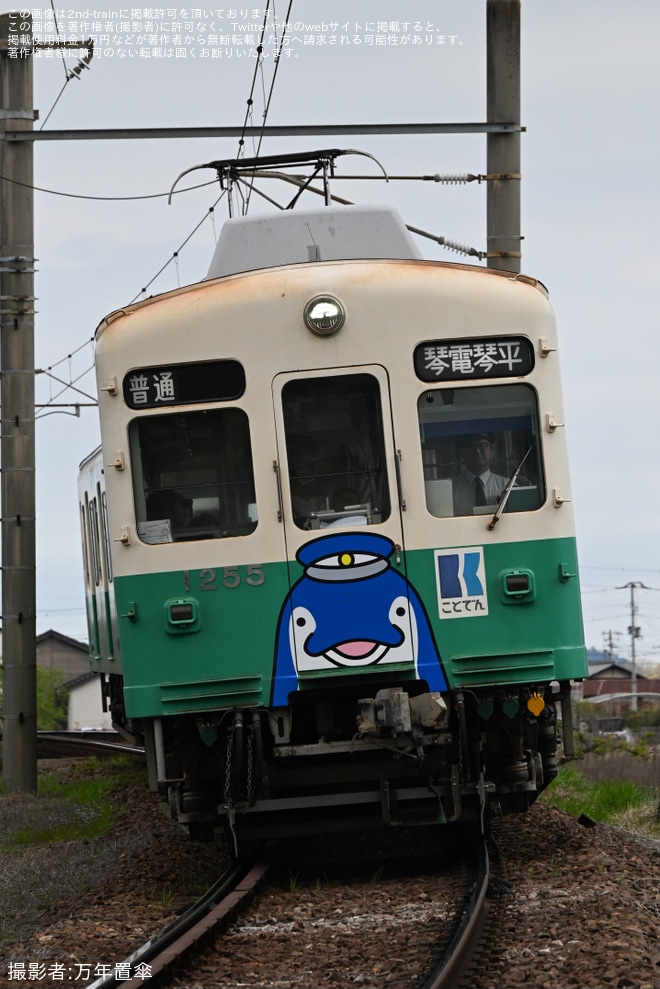 【ことでん】「復刻ことちゃんひやく号」琴平線で運行（4枚目）