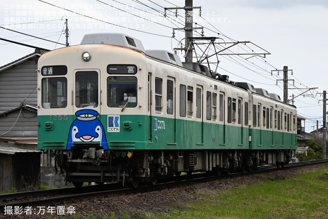 【ことでん】「復刻ことちゃんひやく号」琴平線で運行（3枚目）
