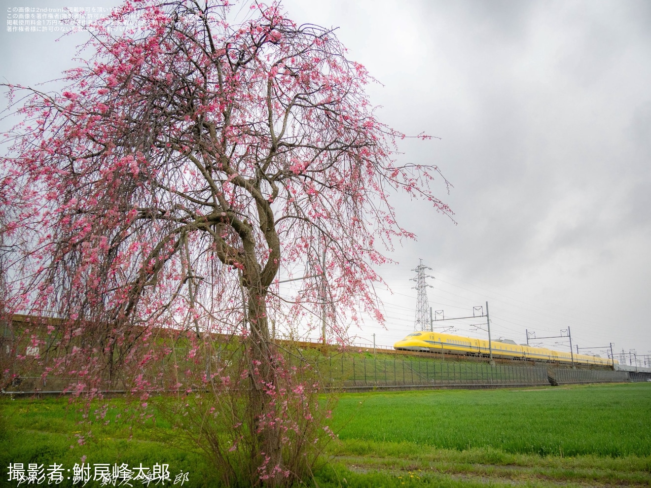 【JR西】923形T5編成(ドクターイエロー) のぞみ検測の拡大写真