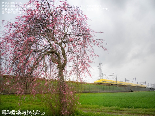 【JR西】923形T5編成(ドクターイエロー) のぞみ検測を不明で撮影した写真