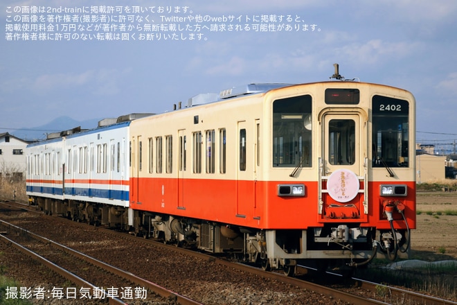 【関鉄】「関鉄お花見ビール列車」が運転(2026)（4枚目）