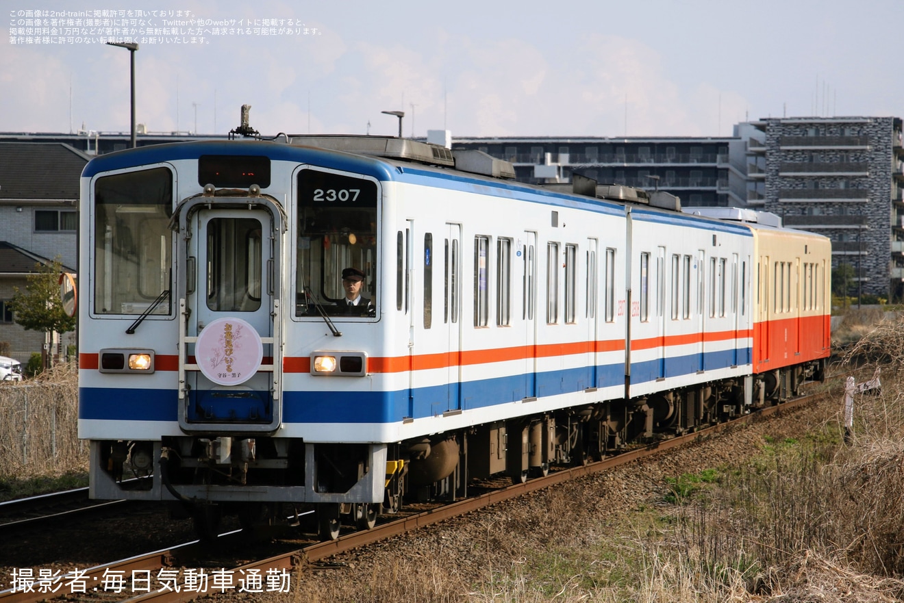 【関鉄】「関鉄お花見ビール列車」が運転(2026)の拡大写真