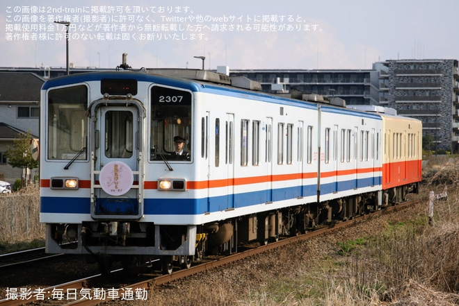 【関鉄】「関鉄お花見ビール列車」が運転(2026)（3枚目）