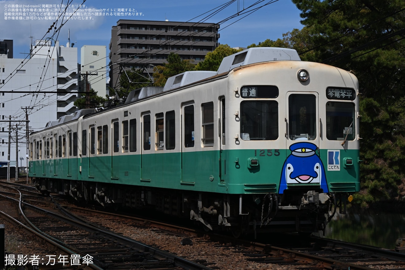 【ことでん】「復刻ことちゃんひやく号」琴平線で運行の拡大写真