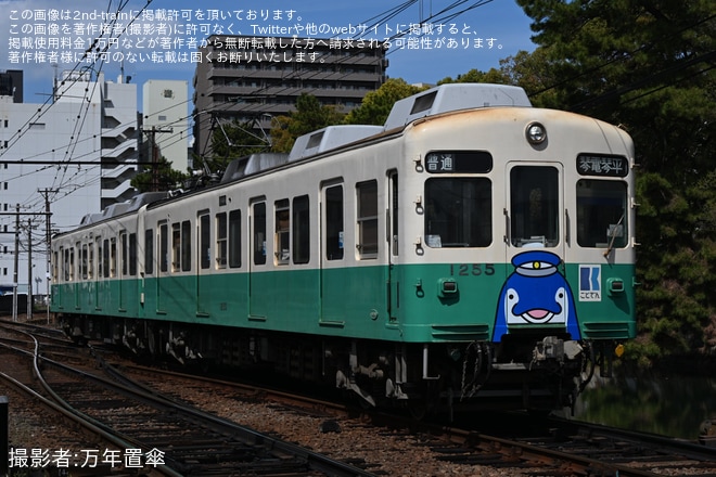【ことでん】「復刻ことちゃんひやく号」琴平線で運行（1枚目）